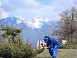  彩弹和场地设置 